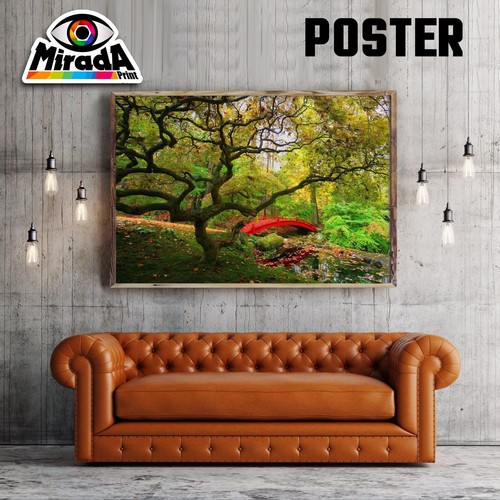 Poster autunno alberi colori - autunno,