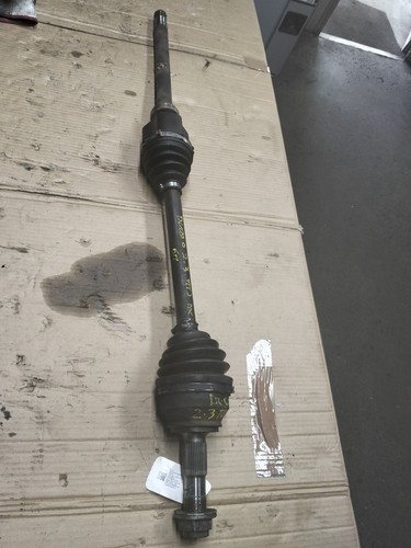1369960080 semialbero ant - 1369960080,