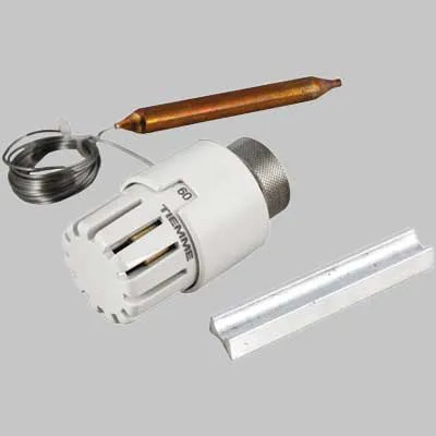Testa termostatica con sonda - con,