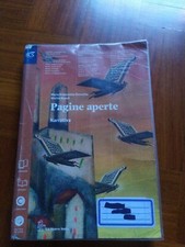 Pagine Aperte narrativa, Chiocchio e Napoli