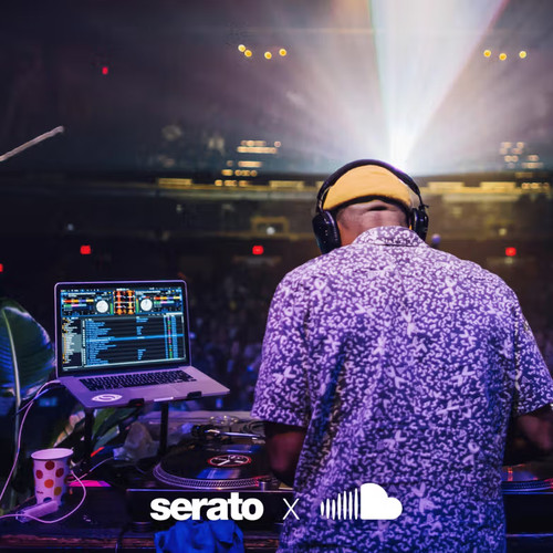 Serato studio - studio, mesi)