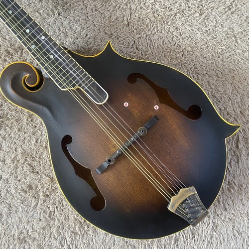 Washburn mandolino guerriero - guerriero, 8