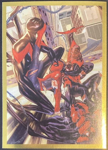 The amazing spider man panini - the,