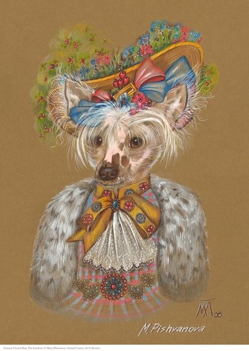 Chinese crested dog - chinese,