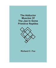 The Adductor Muscles of the