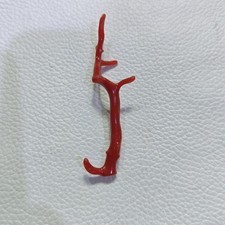 Corallo rosso italiano