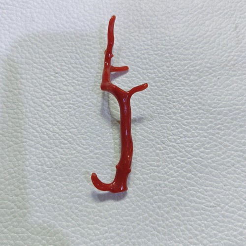 Corallo rosso italiano