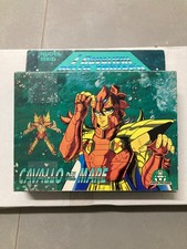 Cavaliere Dello Zodiaco