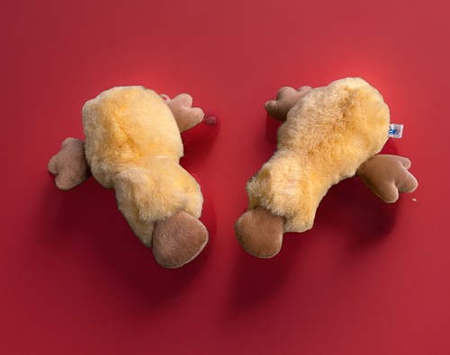 Set peluche ornitorinco nici - 2,