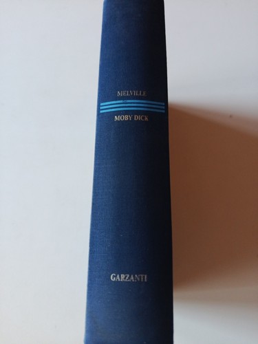 Herman melville moby dick - herman,