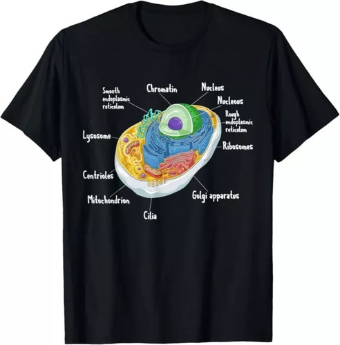 Shirt anatomia biologia - anatomia,