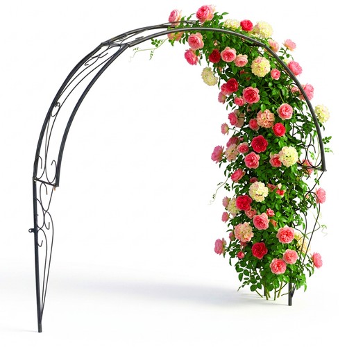 Arco rose semiarco da - semiarco,