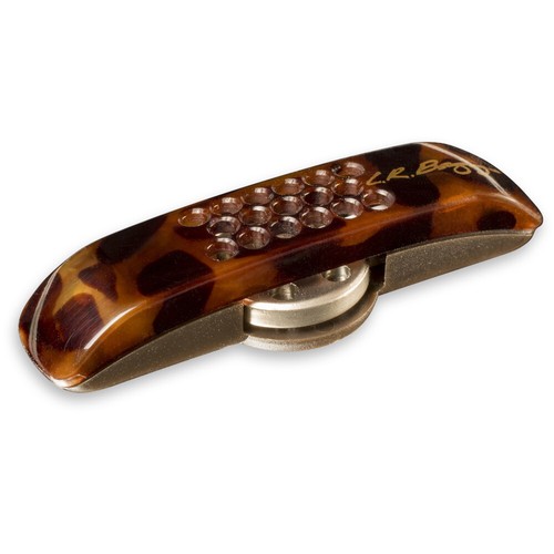 Baggs pickup microfono - lr,