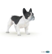 Cane bulldog francese bianco e