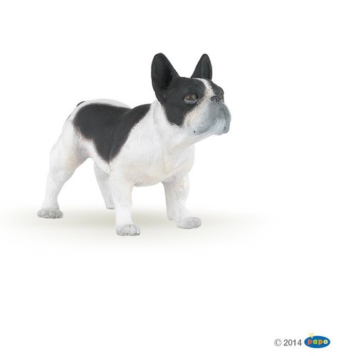 Cane bulldog francese bianco - , e