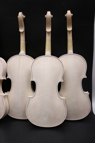 Violino master bianco non - bianco,