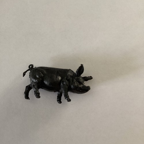 Cinghiale plastica anni - cinghiale, plastica,anni