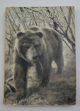 L'orso bruno (ursus arctos