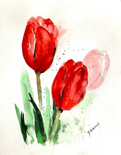 Fiori acquerello tulipano - acquerello,