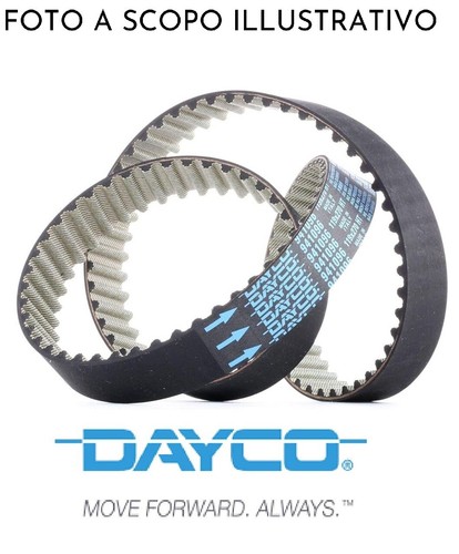 Dayco cinghia distribuzione - cinghia,
