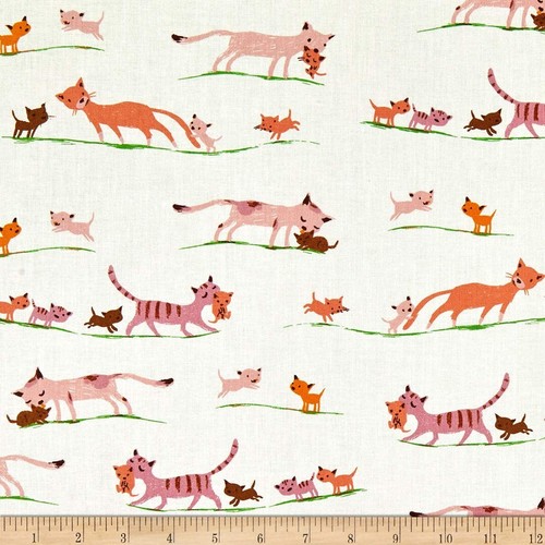 Gattini gatti cotone - gattini,