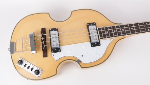 Nature color set basso violino
