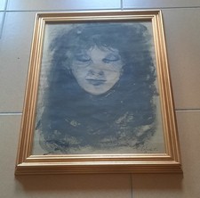 Colombotto rosso Ritratto