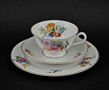 9340054 Vintage Porcellana Servizio Sammeltasse Rosenthal Decorazione Floreale