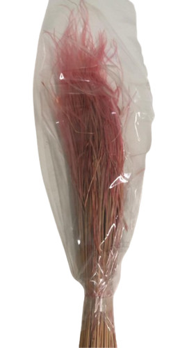 Stipa pennata 50cm rosso - stipa,