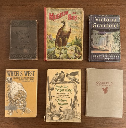 Rare book lot nature - 6,