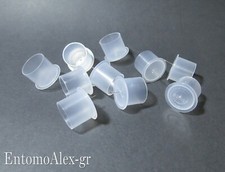 10x Cilindretti x canfora e