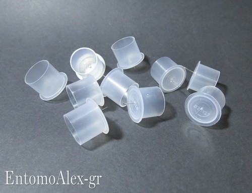 10x cilindretti canfora e - cilindretti,