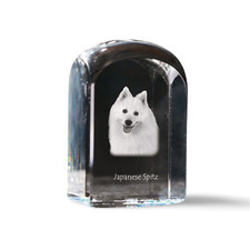Japan-Spitz,Giapponese