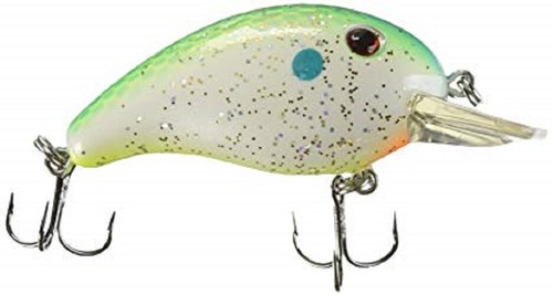 Livingston dive master - master, jr