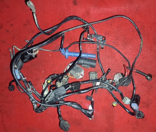 Cablaggio completo bobina - completo,