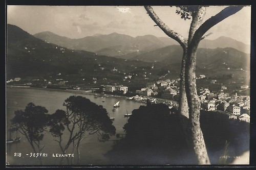 Cartolina sestri levante - cartolina,