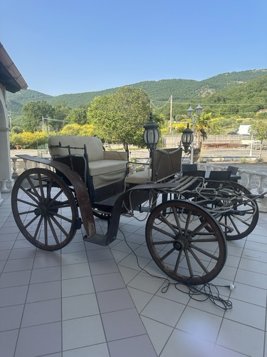 Carrozza epoca cavalli - a,