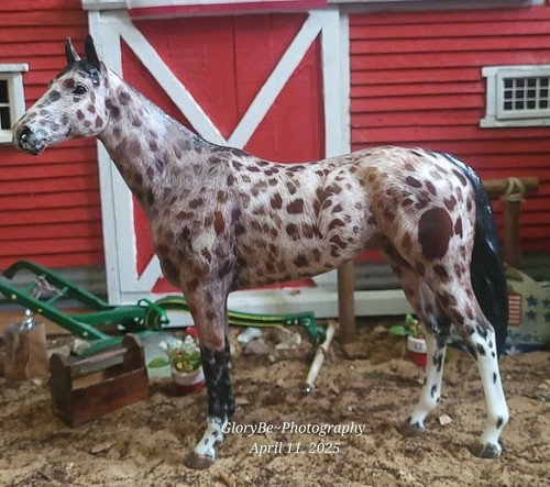 Breyer winx 1828 cavallo - *,