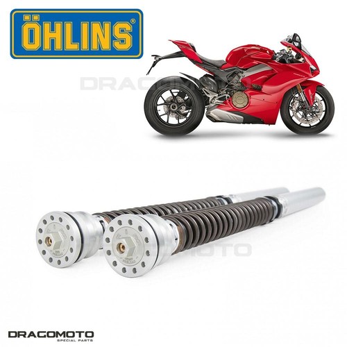 Ducati panigale 2019 2020 - v4,