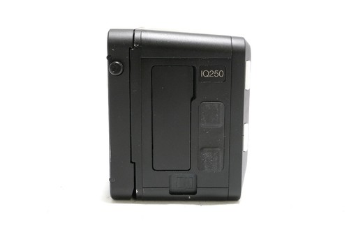 Dorso phase one - dorso,