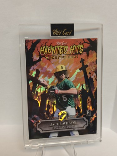 2025 wild card haunted - wild,