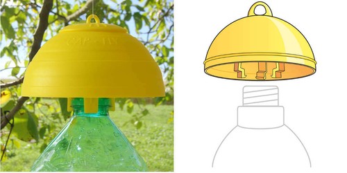 Tappi cap fly trap - cap,