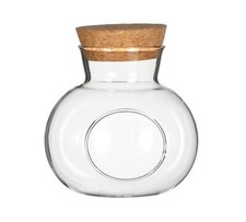 Terrarium Tondo D 10 H 10