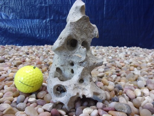 Texas holey rock - texas/tn,