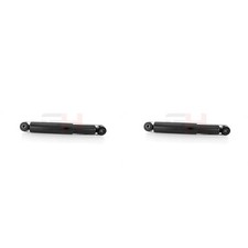 2X GH Ammortizzatori