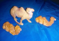 CAMMELLI IN PASTA IN GINOCCHIO