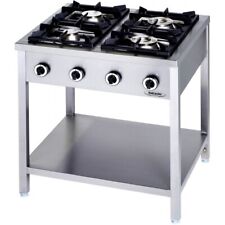 Cucina Professionale a Gas 4 Fuochi Kw 24,5 cm 80x70x90