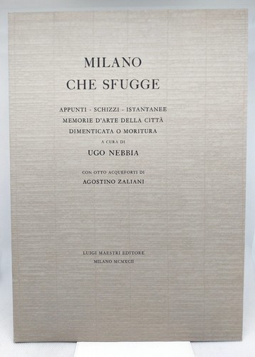 Ugo nebbia milano che sfugge - ugo,