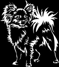 Adesivo CHIHUAHUA - adesivo auto Chihuahua - sticker - contorno Chihuahua #03-W