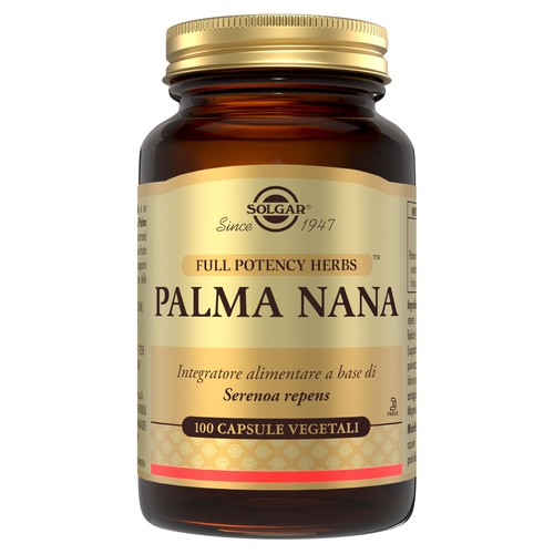Palma nana serenoa repens - palma,